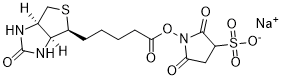 Sulfo-NHS-Biotin 119616-38-5